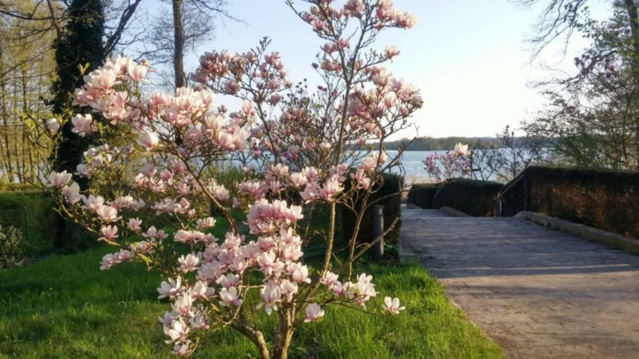 Seeblick III Бад Заров Екстериор снимка